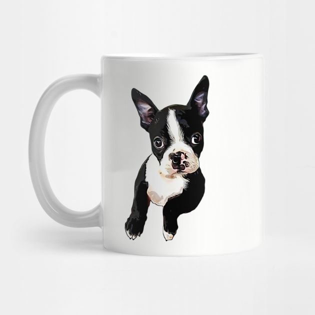 Boston Terrier Cutie by ElegantCat